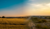 Golden-hour North Texas landscape showing open farmland transitioning toward new rooftops and a distant highway corridor in Grayson County