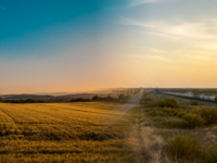 Golden-hour North Texas landscape showing open farmland transitioning toward new rooftops and a distant highway corridor in Grayson County