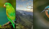 Collage for Hagerman National Wildlife Refuge October events: birds and wetland landscape near Sherman