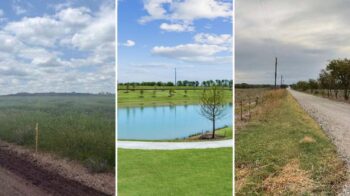 Three-photo collage of land in PID and MUD districts near Gunter TX: Platinum Ranch pasture, a pond and trail at Sunset Ranch, and Mobberly Road at Bryson Ranch in Pilot Point