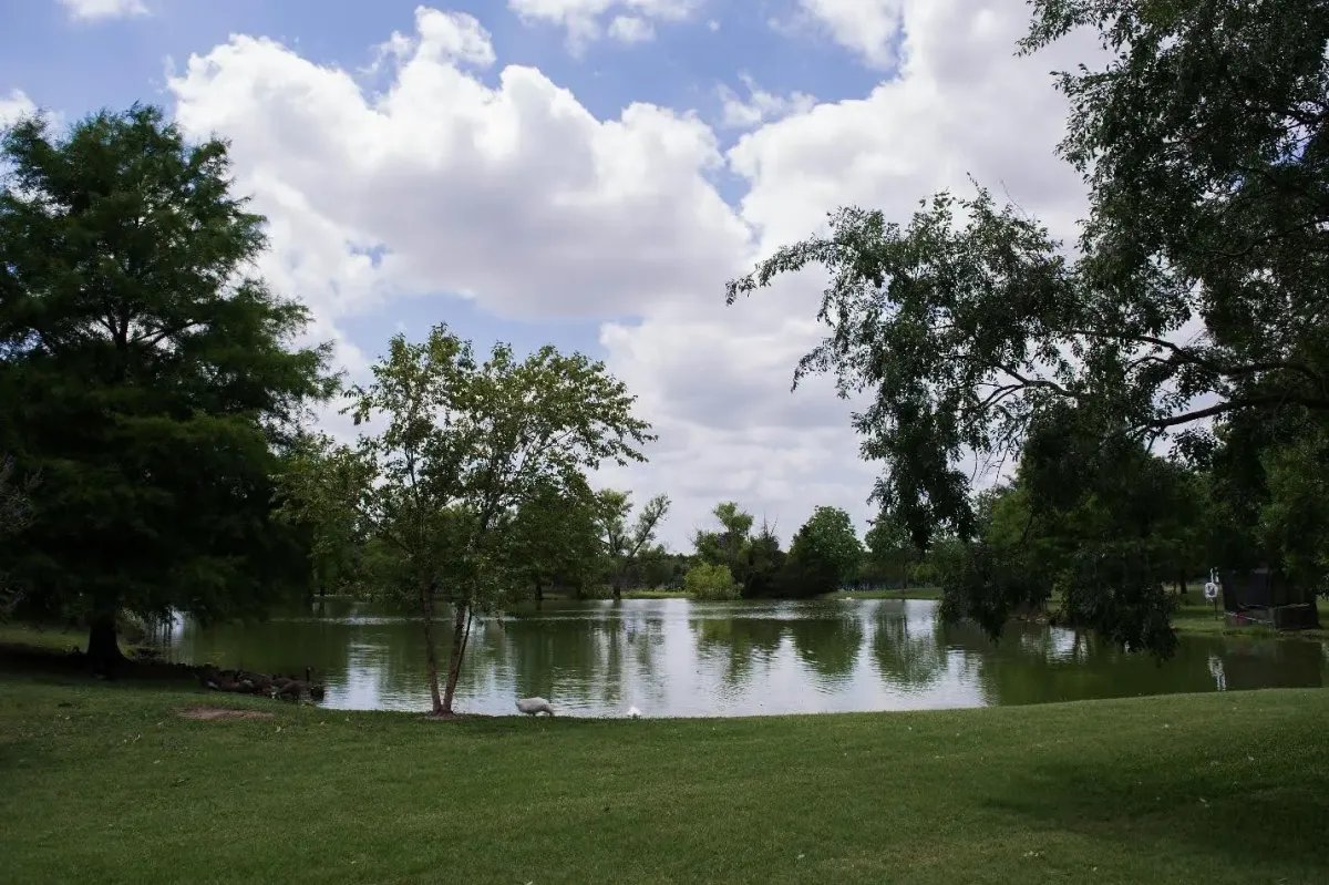 Pond and mown lawn ringed by trees on the Treeland Nursery farm in Gunter, TX